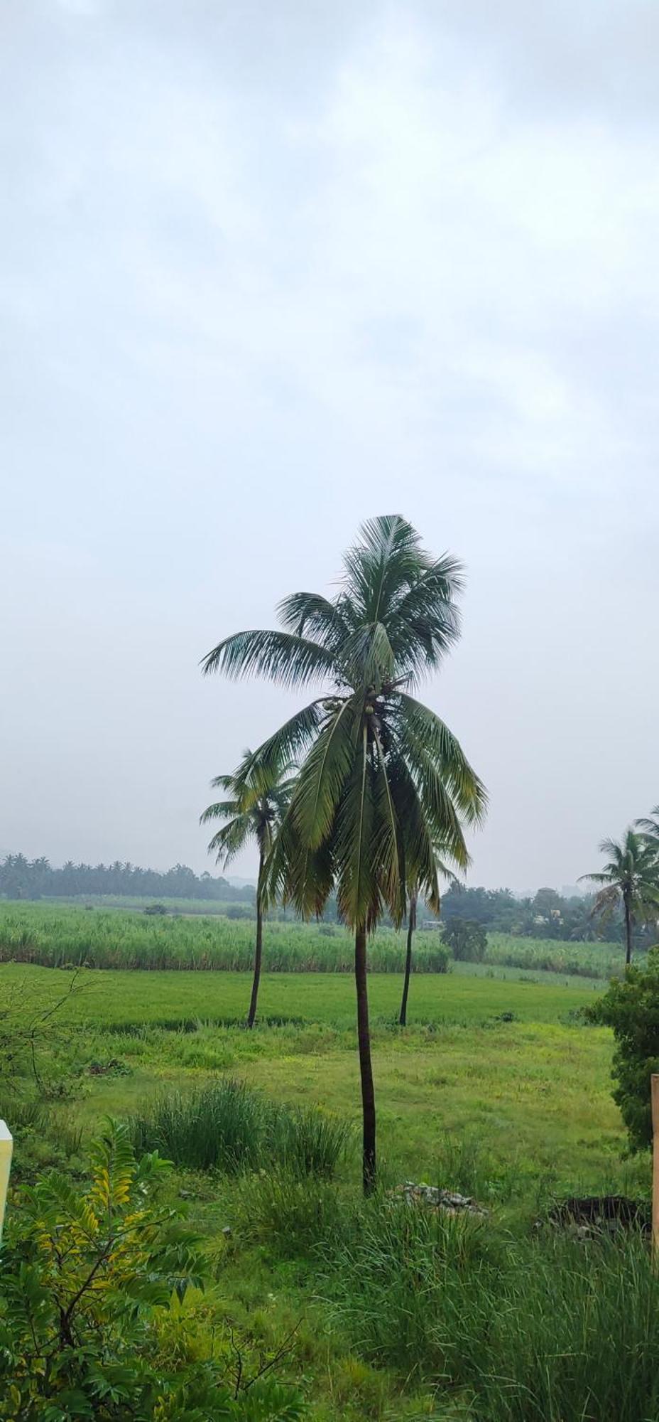 Raj Homestay Hampi Eksteriør bilde